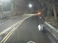 男性が連れていた犬に違和感を感じたバス運転手、犬が盗まれていたことに気づき飼い主に返す（アメリカ）