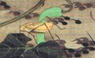 『動植綵絵』“池辺群虫図”（くつわ虫部分）画：伊藤若冲