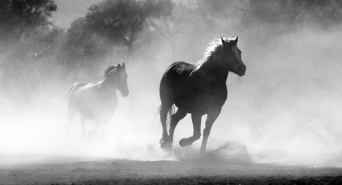 Dream Art Laboratoryのプレスリリース画像