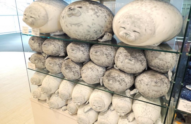 画像提供：海遊館