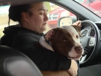 火事で燃え盛る家に取り残された赤ちゃんを助けに戻った元保護犬