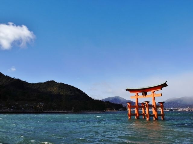 ※画像はイメージです