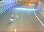 原因は“◯◯◯”！？　オーストラリアの高速道路でヘンテコすぎる交通事故が発生