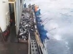 釣り竿持って３分後には大漁！　漁師の釣ってくスピードがすげえ！