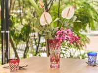 株式会社KAZAANAのプレスリリース画像