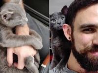 外出先で子猫にロックオンされたヒゲメン、家に連れて帰るよう強要され、どんでん返しのハッピーエンドに（アメリカ）
