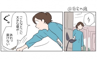 「こんな所に大きな草が...あれ、抜けない？」　庭で見つけた「謎の葉っぱ」、その正体はまさかの...