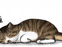 「衰えるのは悪いことばかりじゃない」　老いて〝野生〟を失った愛猫の寝顔に思うこと