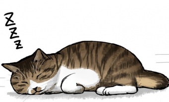 「衰えるのは悪いことばかりじゃない」　老いて〝野生〟を失った愛猫の寝顔に思うこと