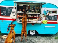 犬専用の移動販売車が登場。散歩中の犬たちに手作りの犬用おやつを（アメリカ）
