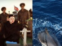 北朝鮮が軍用イルカを飼育している可能性、衛星画像から判明
