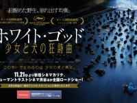 イメージ画像：『ホワイト・ゴッド 少女と犬の狂詩曲』公式サイトより