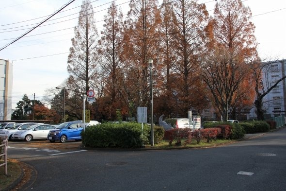 現在ある団地の駐車場。4か月も車が放置されて誰も気づかないとは、現代ではちょっと考えにくいが......