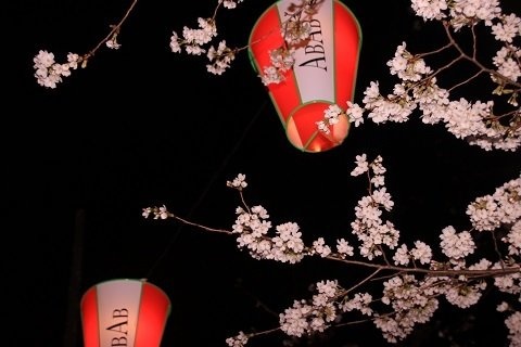 夜には提灯がライトアップしていた