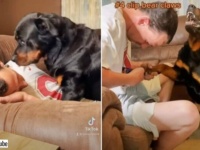 「イヤだけど我慢してあげるワン！」爪切りを拒否する犬をなだめるのに効果的な方法とは