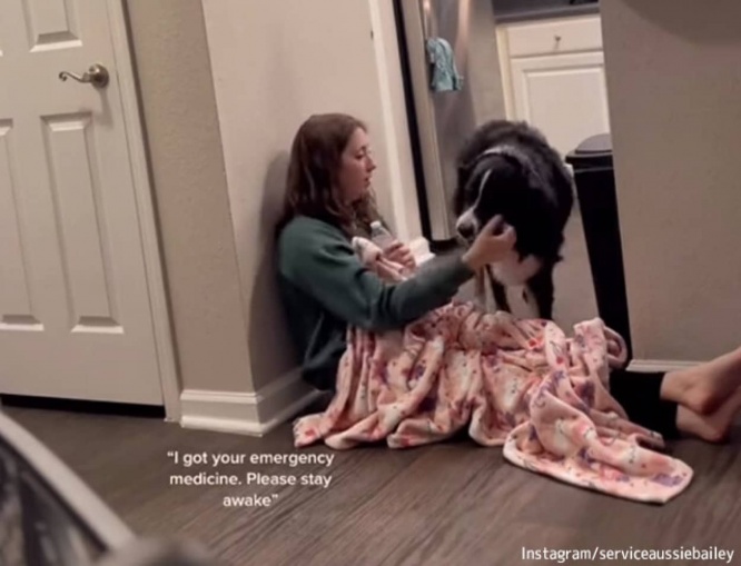 飼い主の異変にいち早く気づいた犬。床に座らせ必要なものをすべて用意し励まし続ける