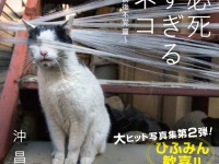 辰巳出版株式会社のプレスリリース画像