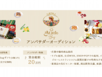 ジェミー株式会社のプレスリリース画像