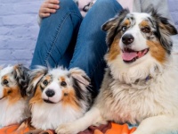 クローンかな？愛犬・愛猫そっくりのモフモフ度マックスなオーダーメイドサンダル