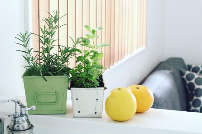 トレンド総研のプレスリリース画像