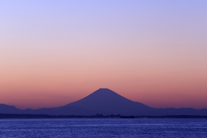 株式会社紀伊乃国屋のプレスリリース画像