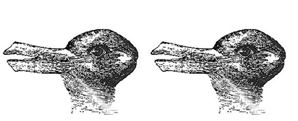 この絵は何に見える？アヒル？ウサギ？イメージに文脈を与えることで見え方が変わることが判明（カナダ研究）
