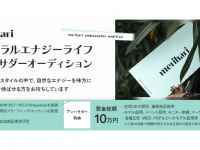 ジェミー株式会社のプレスリリース画像