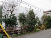 シートに覆われた碧雲荘