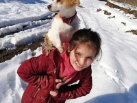 病気の犬を背負って雪の中を歩き続け、獣医に助けを求めた少女（トルコ）