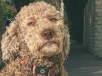 なんて個性的なんだ！さまざまな表情を見せる動物たちの思わず「すげー」ってなる写真集