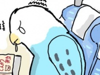 「わかりみが深い」「落ち着けないですよね」　新幹線での〝あるある〟に1.9万人注目...正反対の意見も