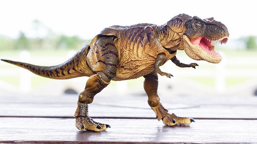 暴龍；T-REX