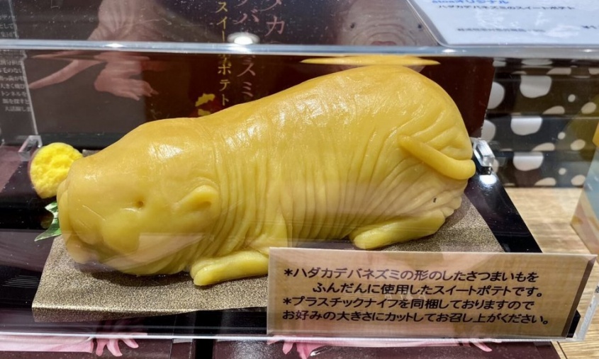 神戸で爆誕した「ハダカデバネズミ型スイートポテト」が衝撃的すぎ　食べ方は「お好みの大きさにカット」