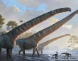 長い！恐竜「マメンチサウルス」は15メートルの首をを持っていたことが化石から判明