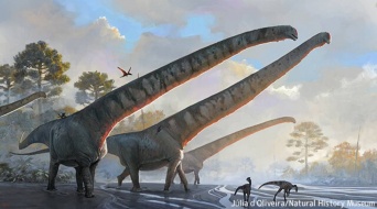 長い！恐竜「マメンチサウルス」は15メートルの首をを持っていたことが化石から判明