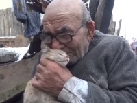 トルコのおじいさんがあやまって家を全焼、唯一助かった愛猫が心の支えに