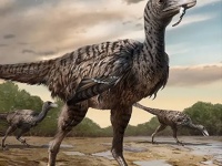 中国で新種となる巨大な恐竜の足跡を発見。史上最大のラプトルの一種である可能性