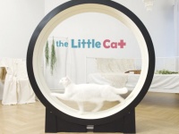 猫だって回りたい。猫を室内で運動させるためのトレッドミルはスマホ操作で猫モニター機能付き