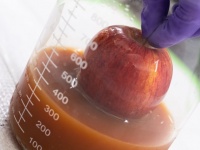 廃棄される卵を利用し、フルーツや野菜を新鮮に保つバイオポリマー・コーティングが開発される（米研究）