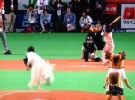貞子と伽椰子が交流戦で始球式一本勝負！　打ってからが怖いぞ…