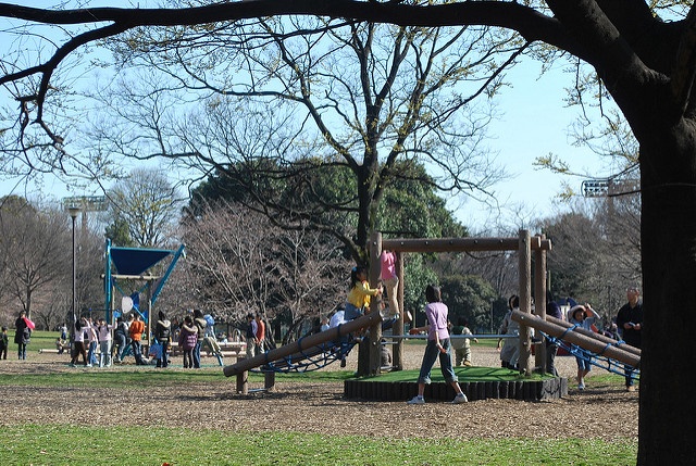 砧公園