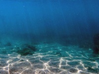 深海の底で酸素の発生を確認、金属の塊が「暗黒酸素」を作り出していた