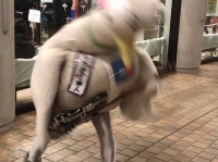 あまりの激しさに静止画がブレる