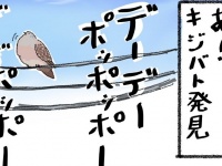 「私だけじゃ...ないよね？」　キジバト見つけたとき〝あるある〟がわかりみ深くて共感の声