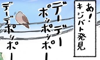 「私だけじゃ...ないよね？」　キジバト見つけたとき〝あるある〟がわかりみ深くて共感の声