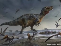 ヨーロッパ最大の捕食者だった可能性、英国でこれまで知られていない巨大な肉食恐竜が発見される