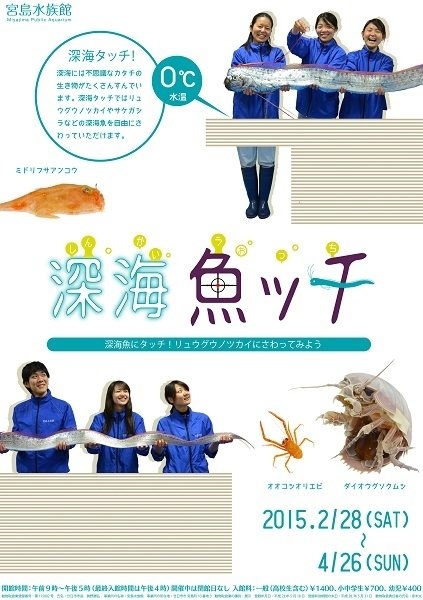 公式サイトより