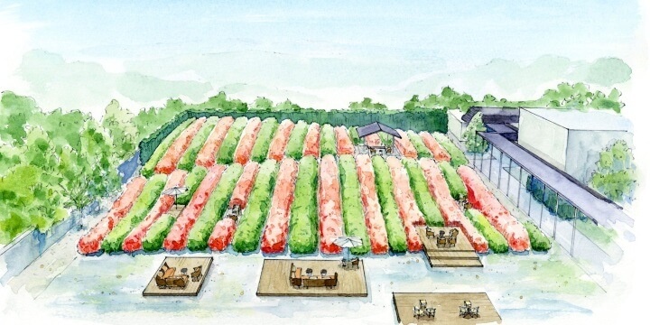 星野リゾートのプレスリリース画像