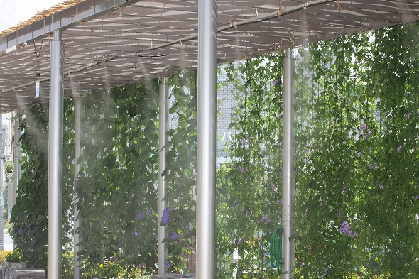 スプリンクラーは思ったより強力で、涼しい