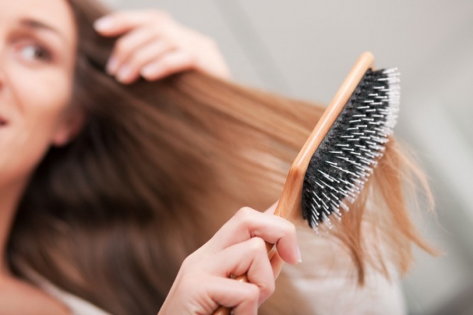 iStock_000013042749_Small